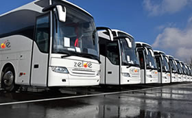 Bus Rentals